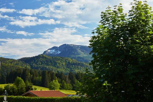 Haus Almrose Vila Reit im Winkl Exterior foto